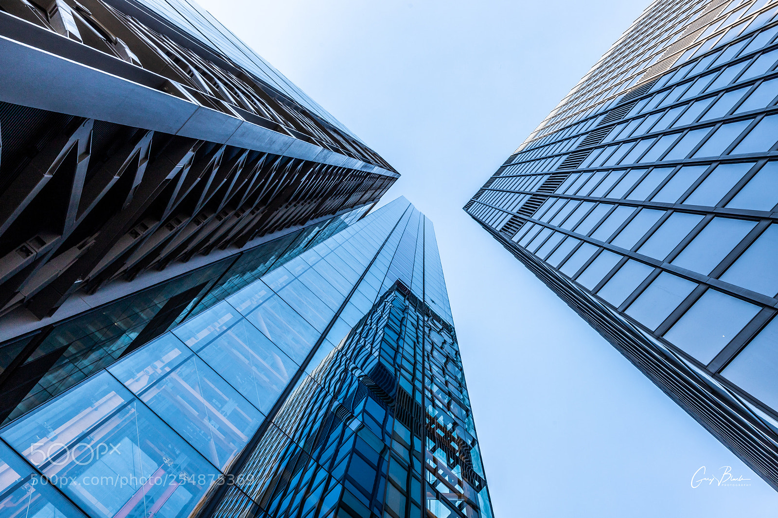 Canon EOS 6D Mark II sample photo. Week 16/52 - looking up photography