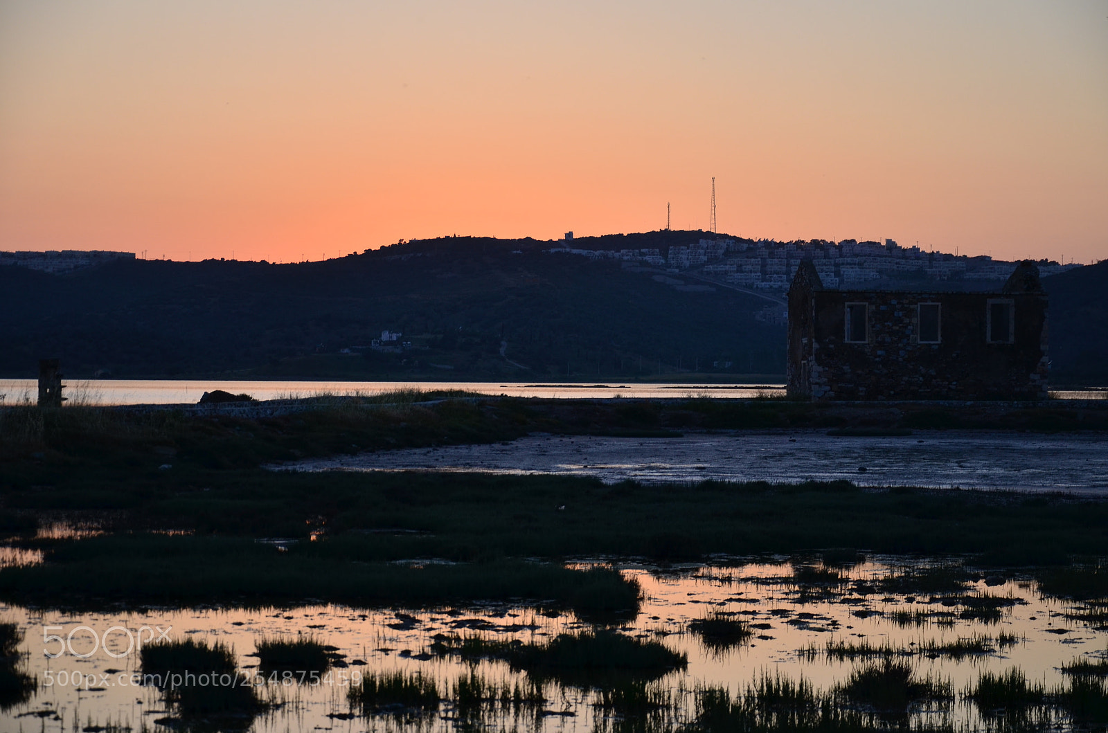 Nikon D7000 sample photo. Syf photography
