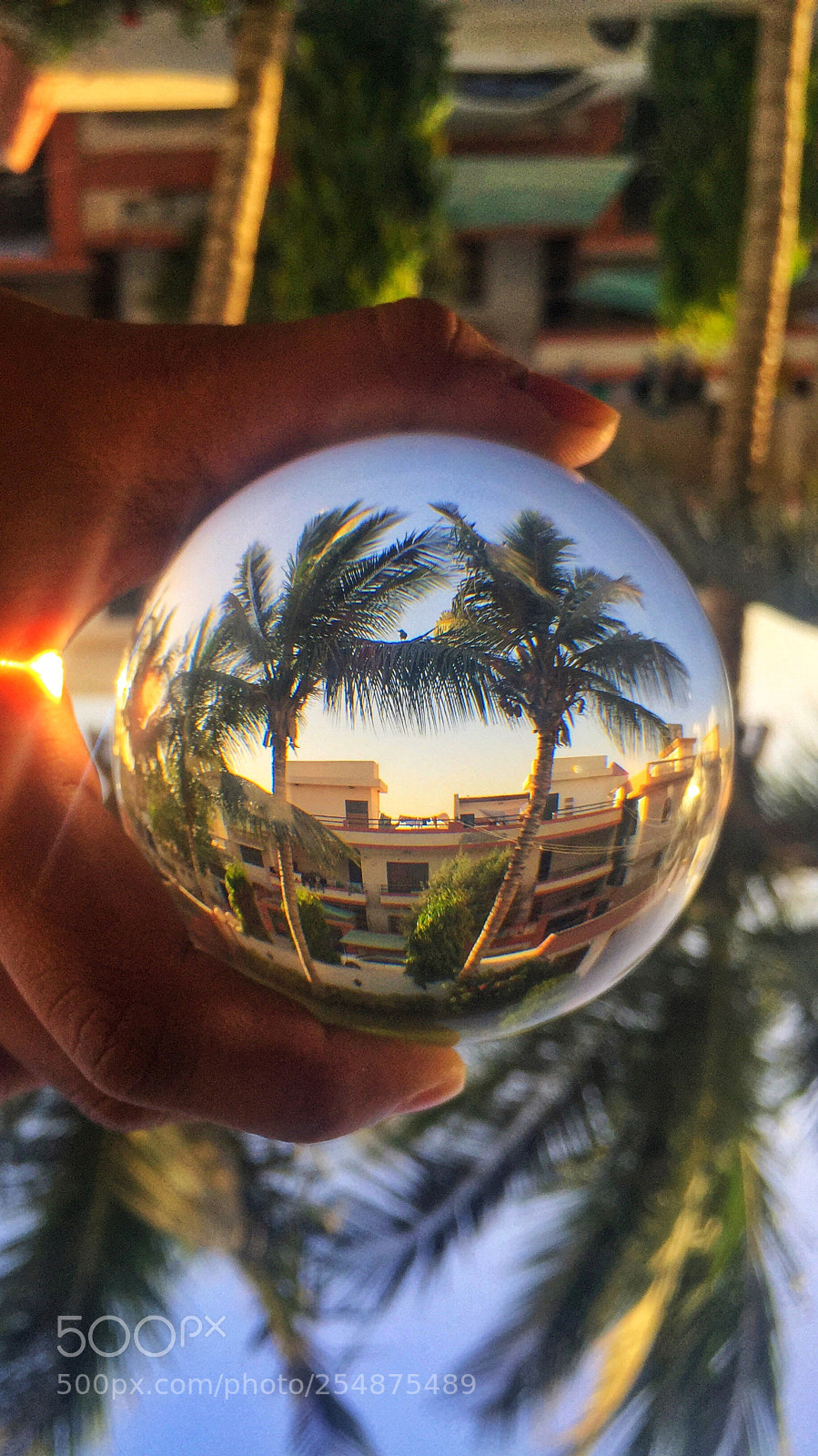 Apple iPhone 6 sample photo. Third eye photography