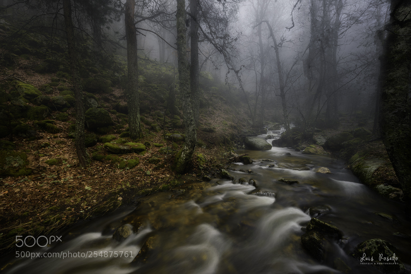 Nikon D610 sample photo. El invierno photography