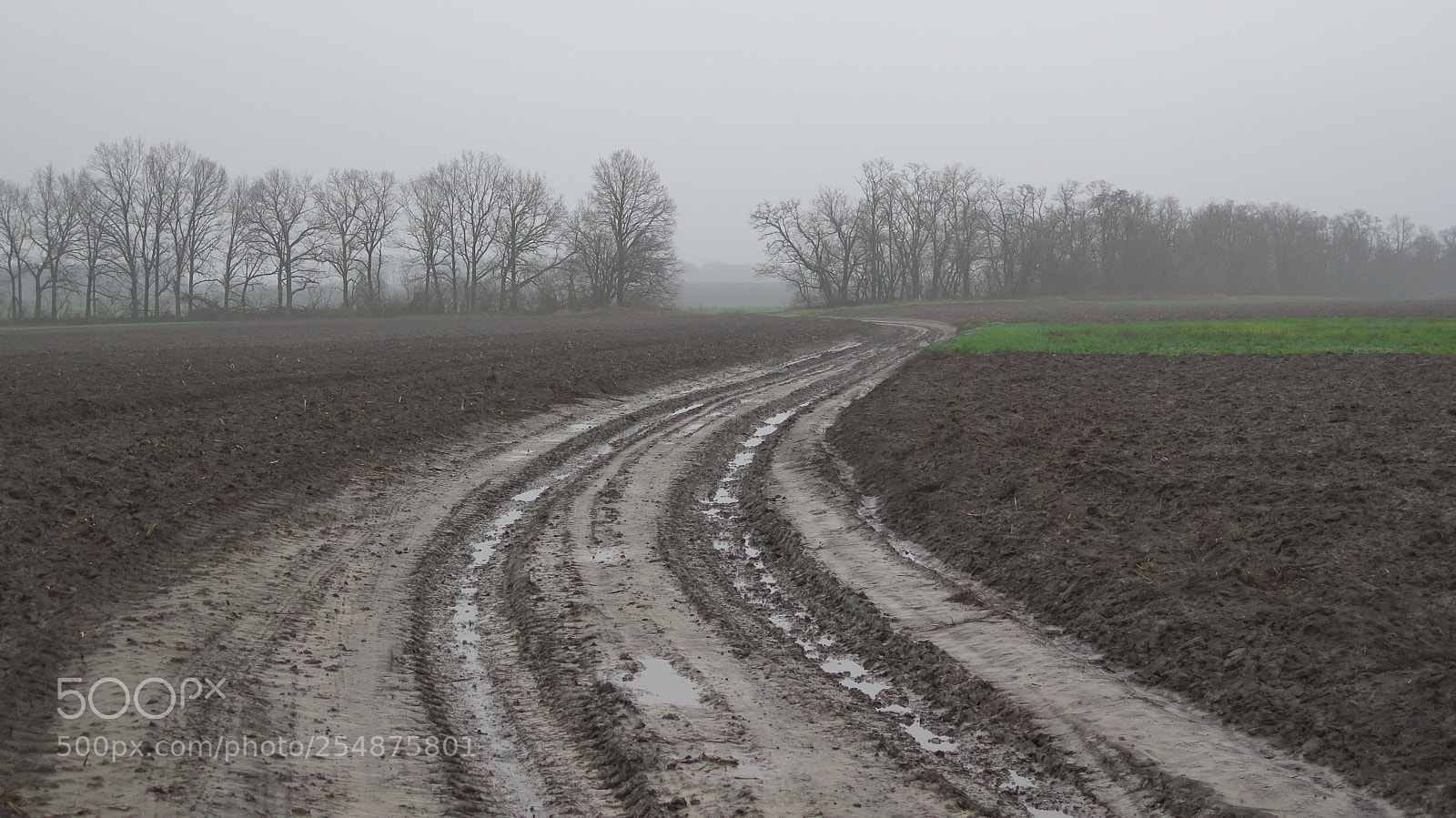 Canon PowerShot G16 sample photo. Fog in the fields photography