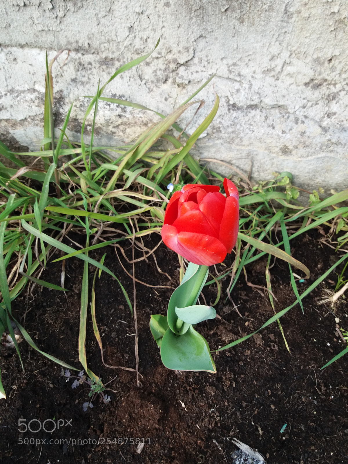 Samsung Galaxy J5(2016) sample photo. Untitled photography
