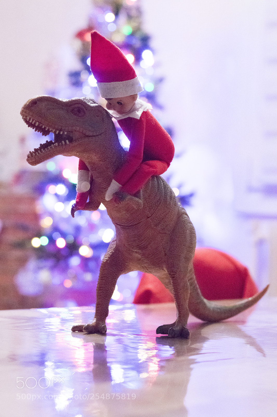 Canon EOS 77D (EOS 9000D / EOS 770D) sample photo. Elf on the shelf 20.12 photography