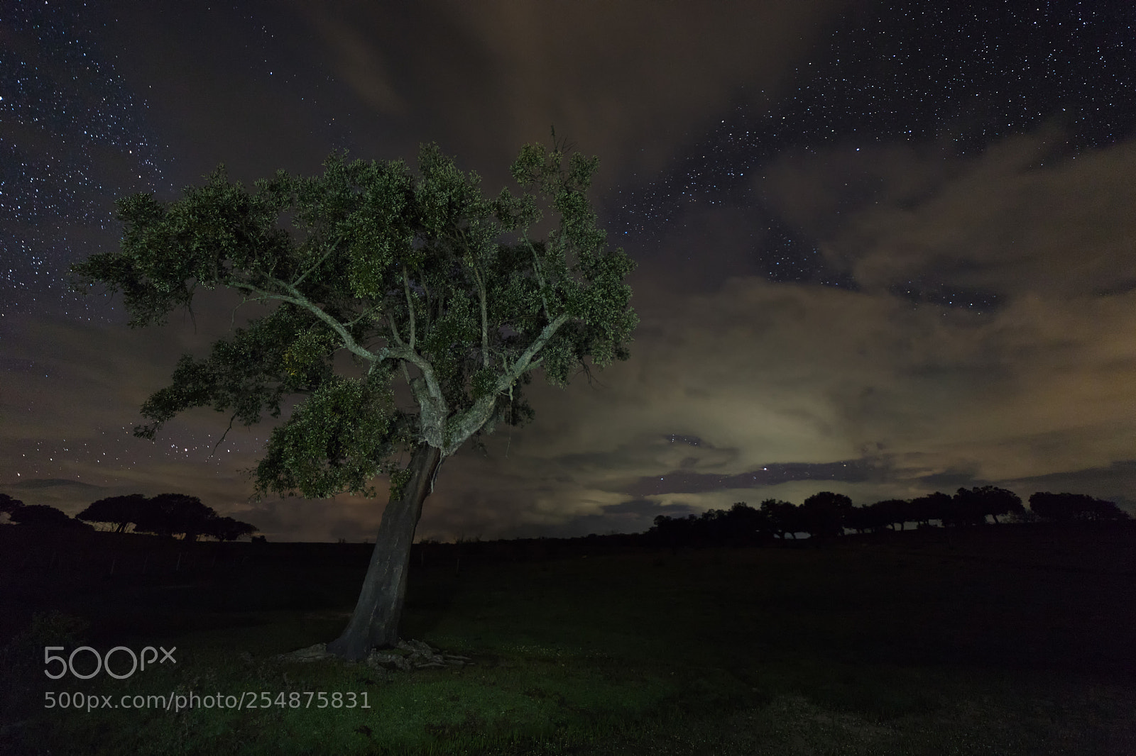 Canon EOS 6D Mark II sample photo. Santiba ez el bajo photography