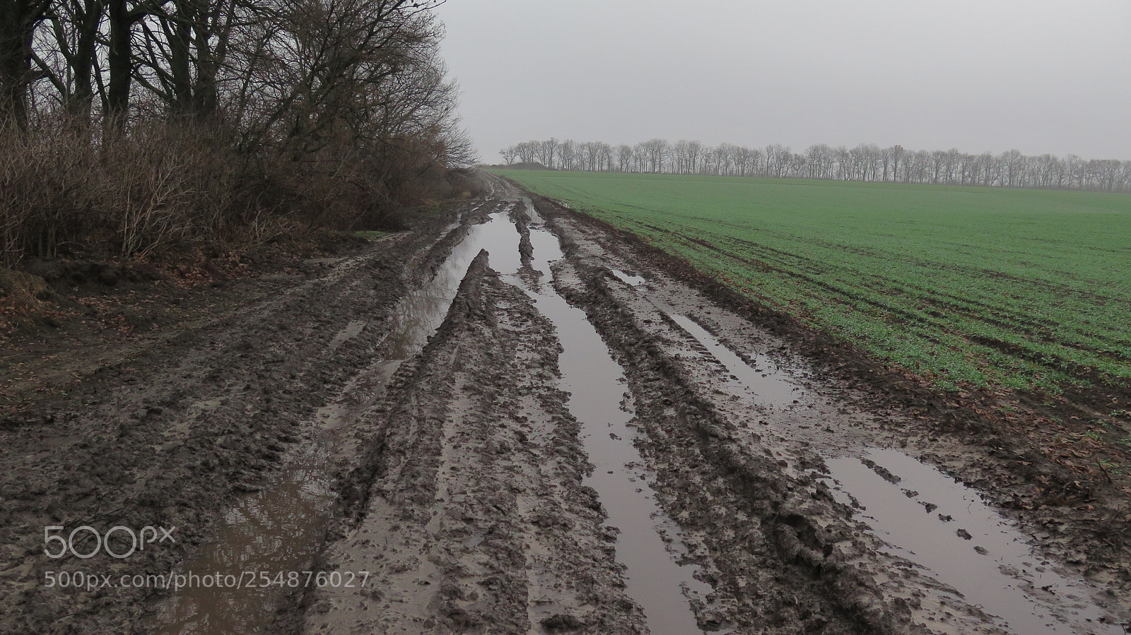 Canon PowerShot G16 sample photo. Field road photography