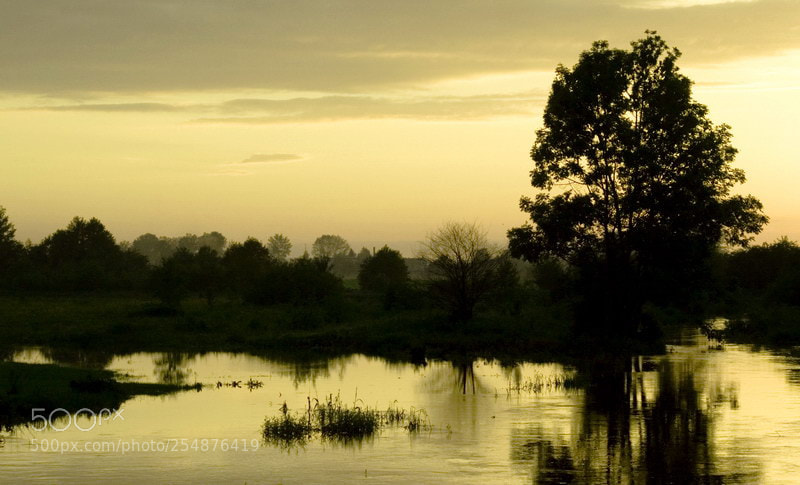 Sony Alpha DSLR-A100 sample photo. Evening at przerwa river photography