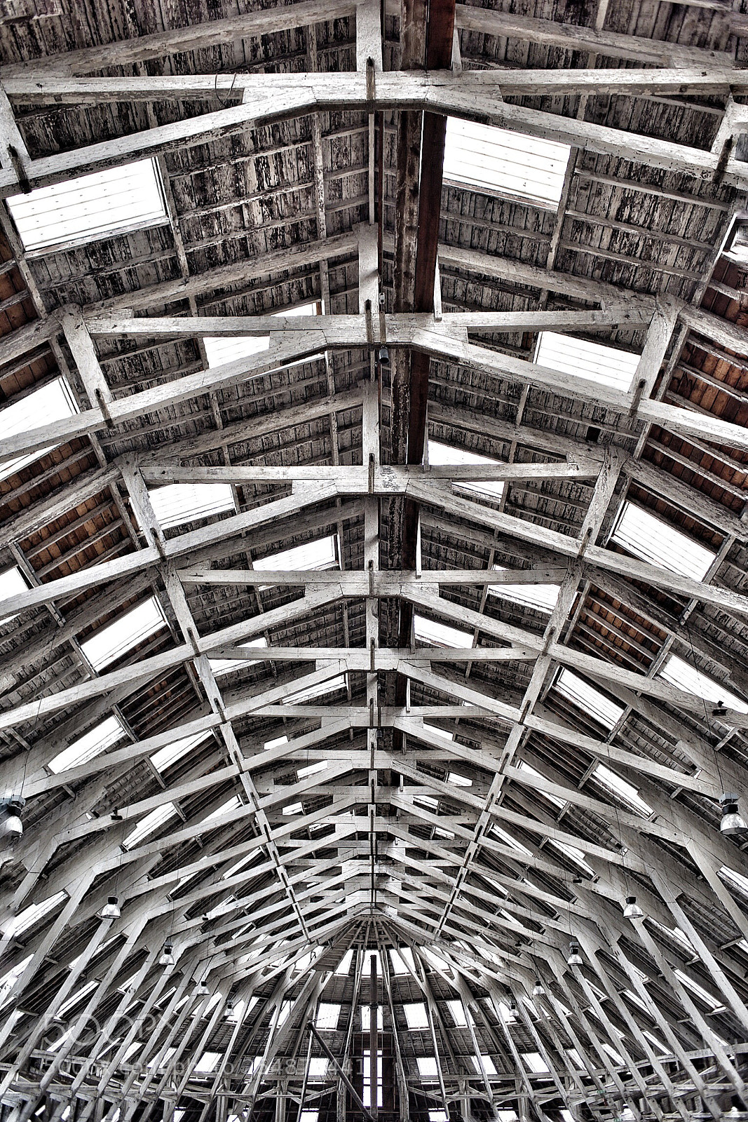 Nikon D810 sample photo. Roof timbers - covered photography