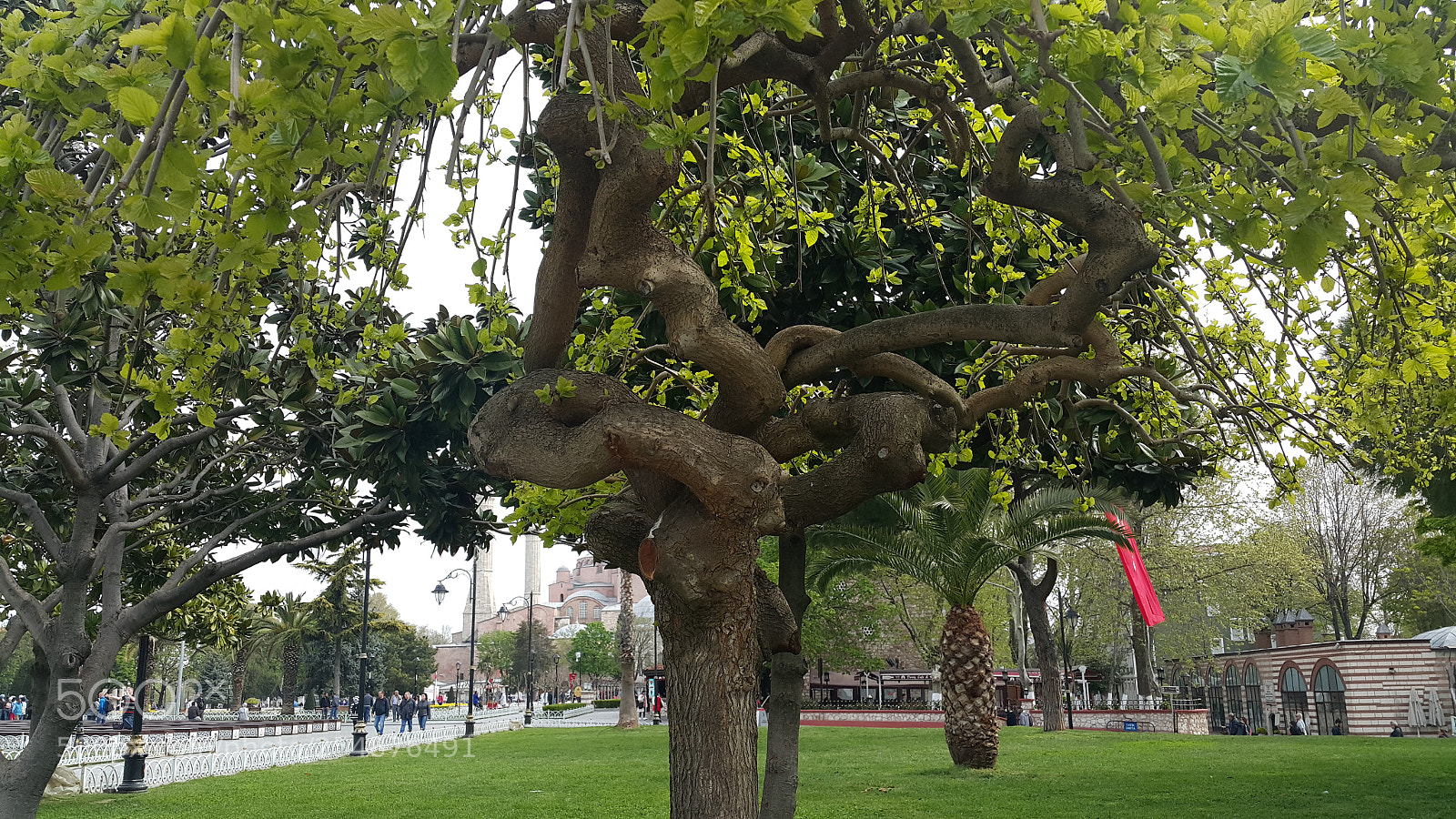Samsung Galaxy Note4 sample photo. Untitled photography