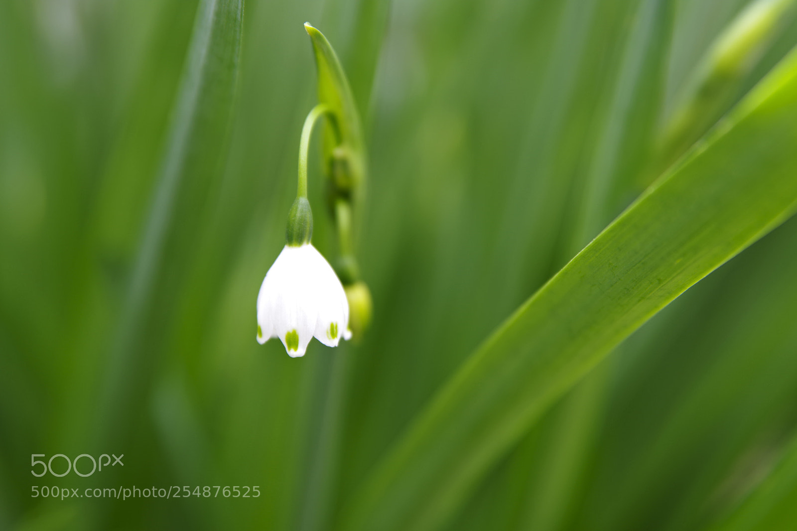 Pentax K-70 sample photo. Untitled photography