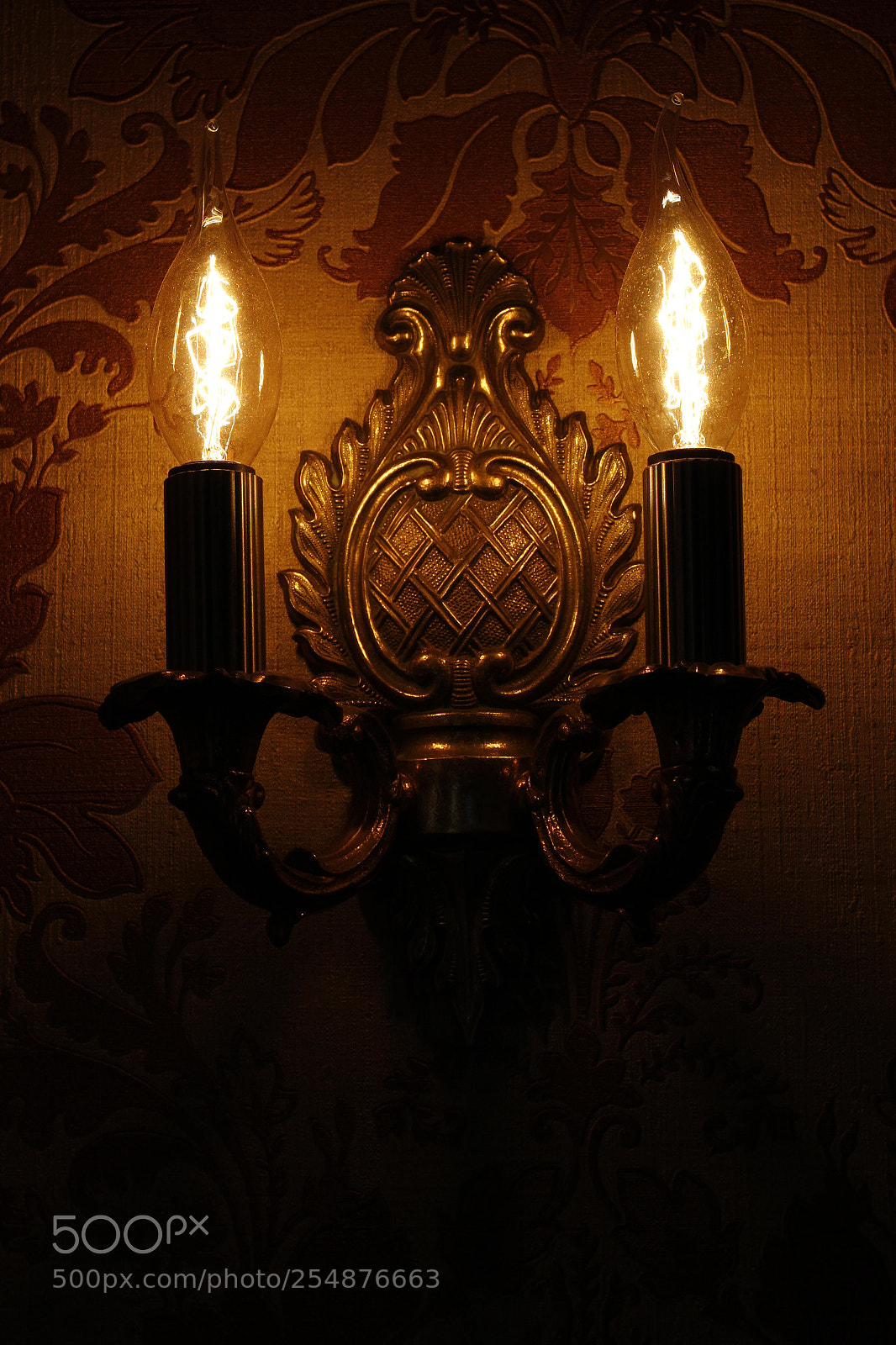 Canon EOS 600D (Rebel EOS T3i / EOS Kiss X5) sample photo. Lamp photography
