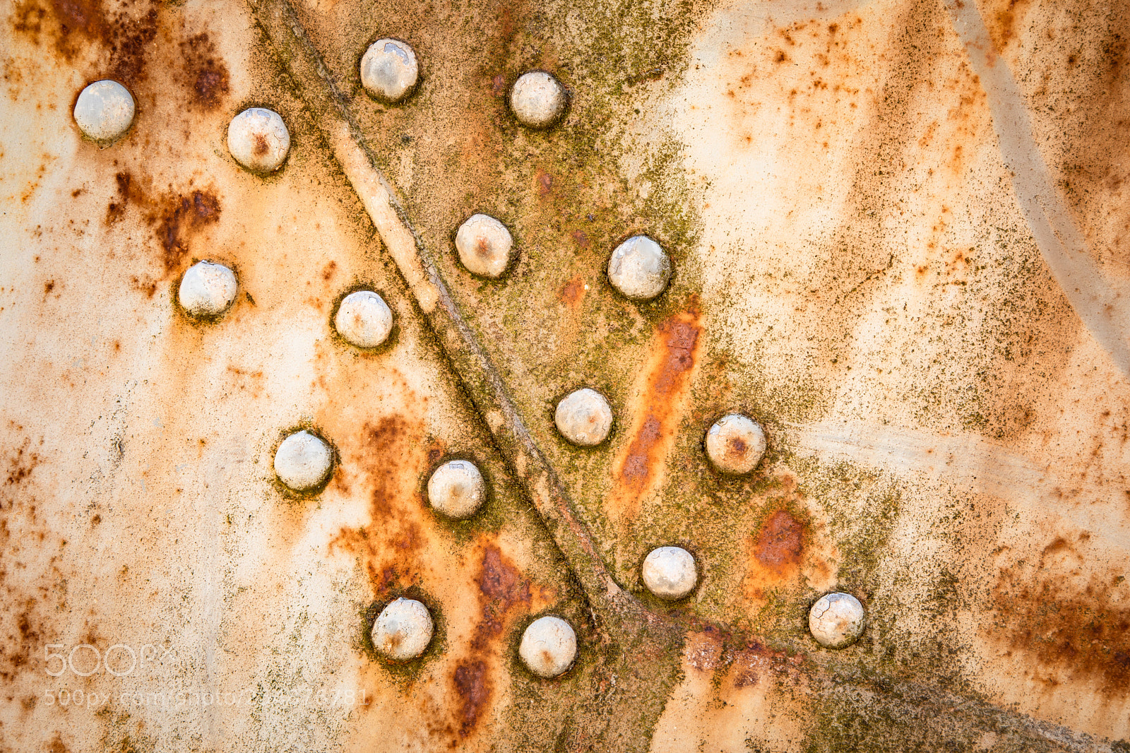 Canon EOS 5D Mark IV sample photo. Rivets photography