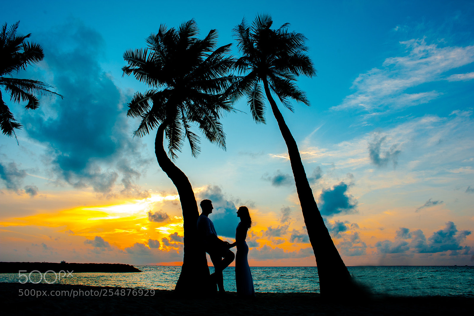 Nikon D700 sample photo. Romantic couple on the photography