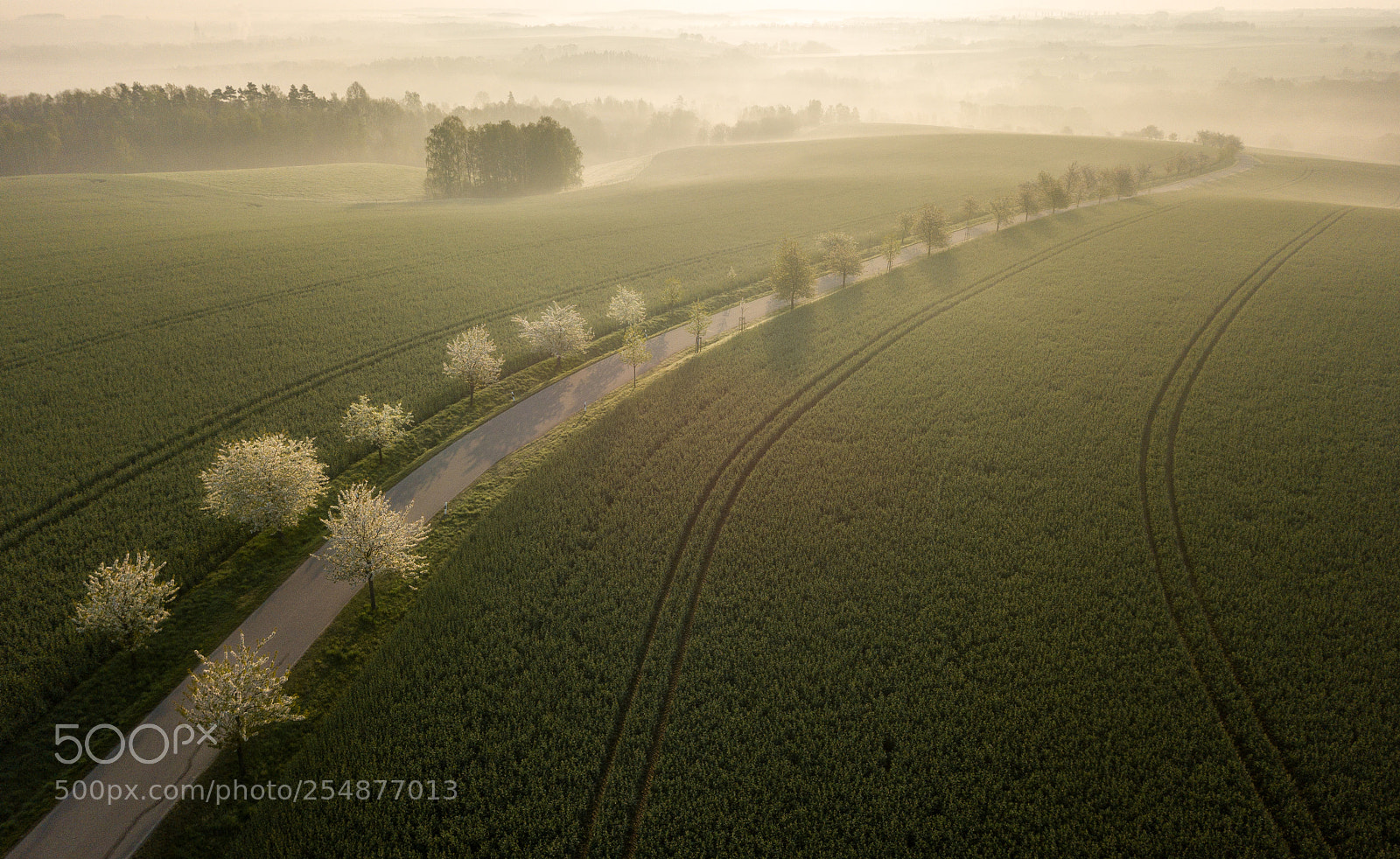 DJI FC220 sample photo. Spring sunrise photography