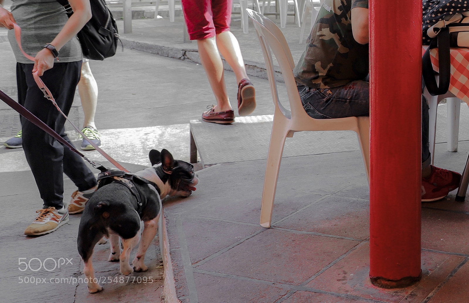 Canon EOS 6D Mark II sample photo. Untitled photography