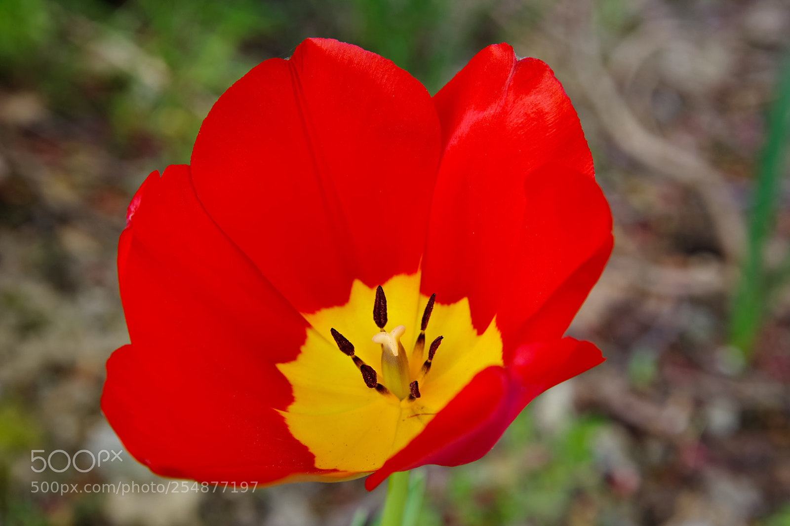 Pentax K-70 sample photo. Untitled photography