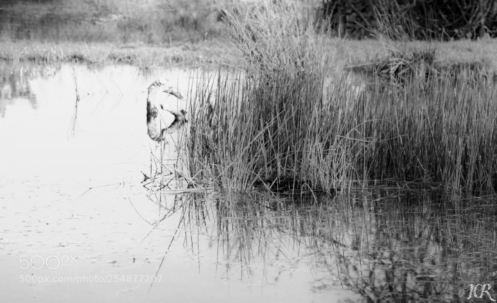 Nikon D5200 sample photo. Agua blanco y negro photography