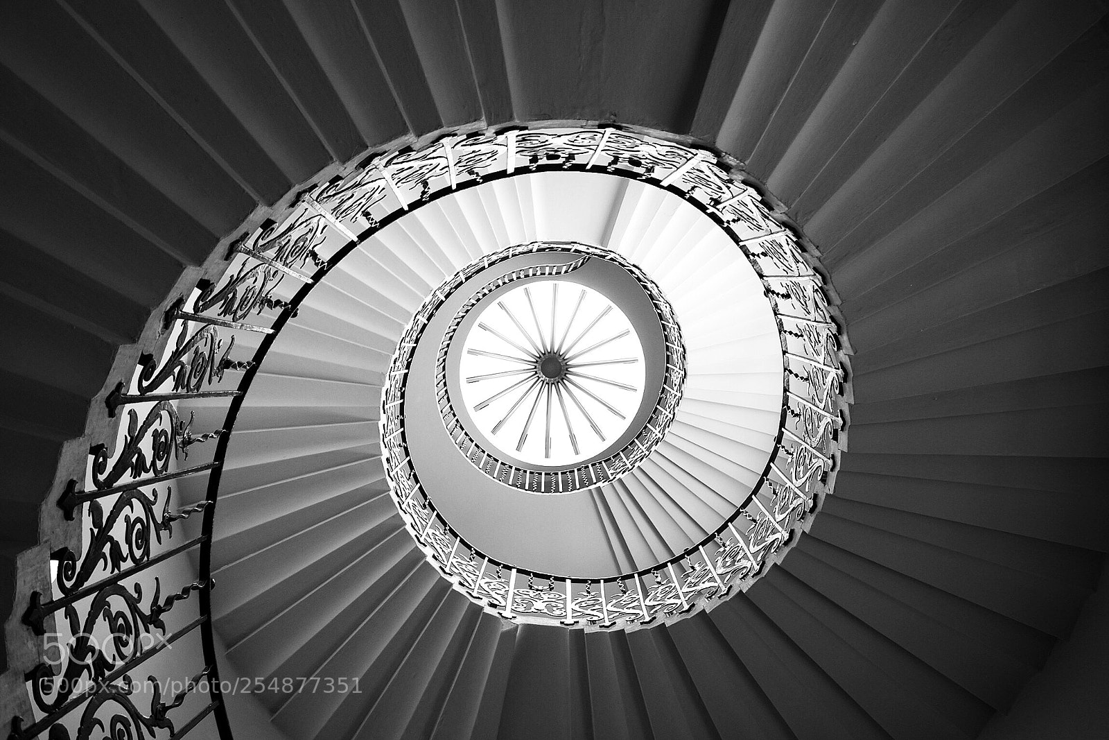 Nikon D810 sample photo. Tulip staircase - queens photography