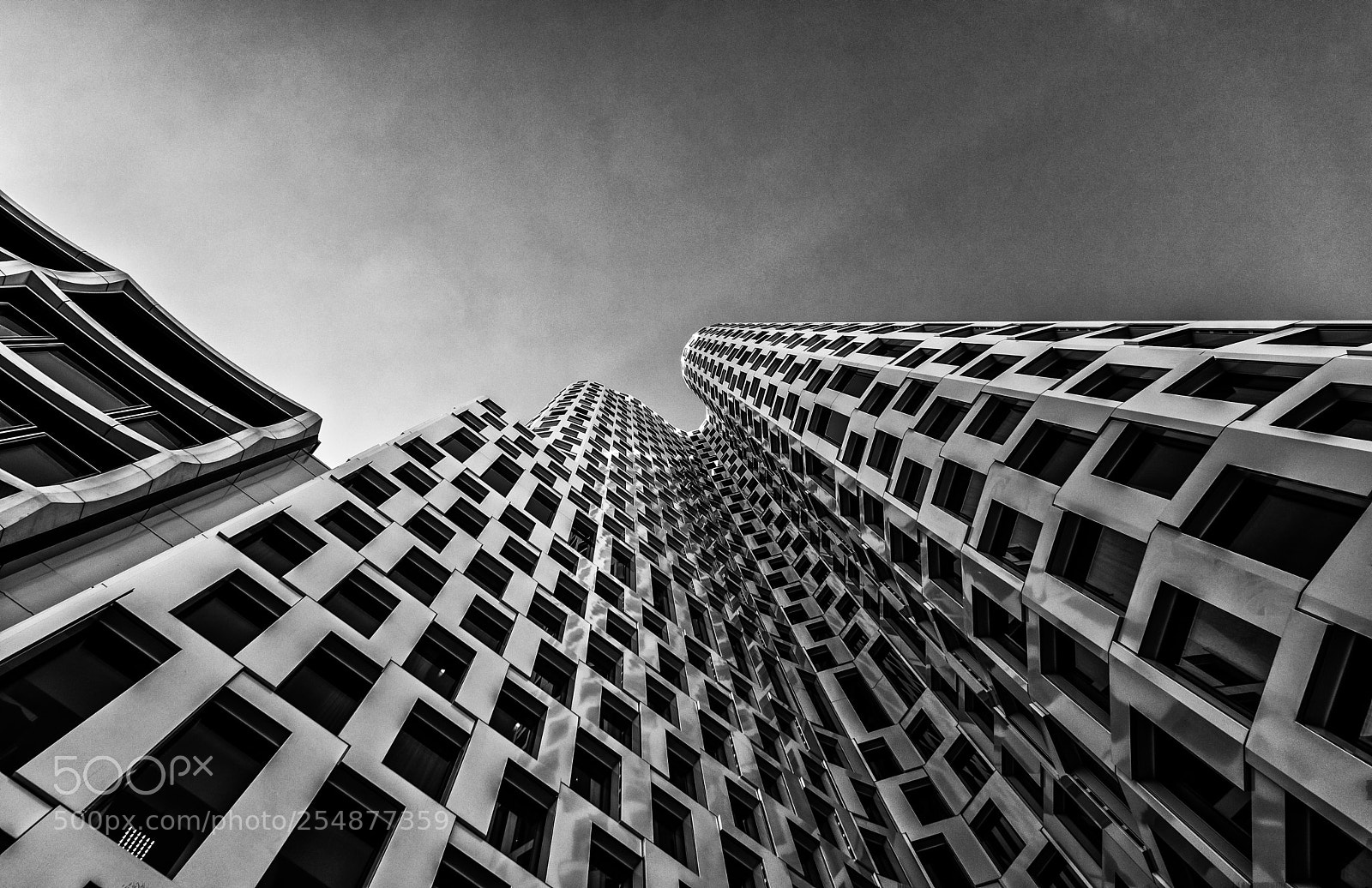 Nikon D5300 sample photo. Silver organic building photography