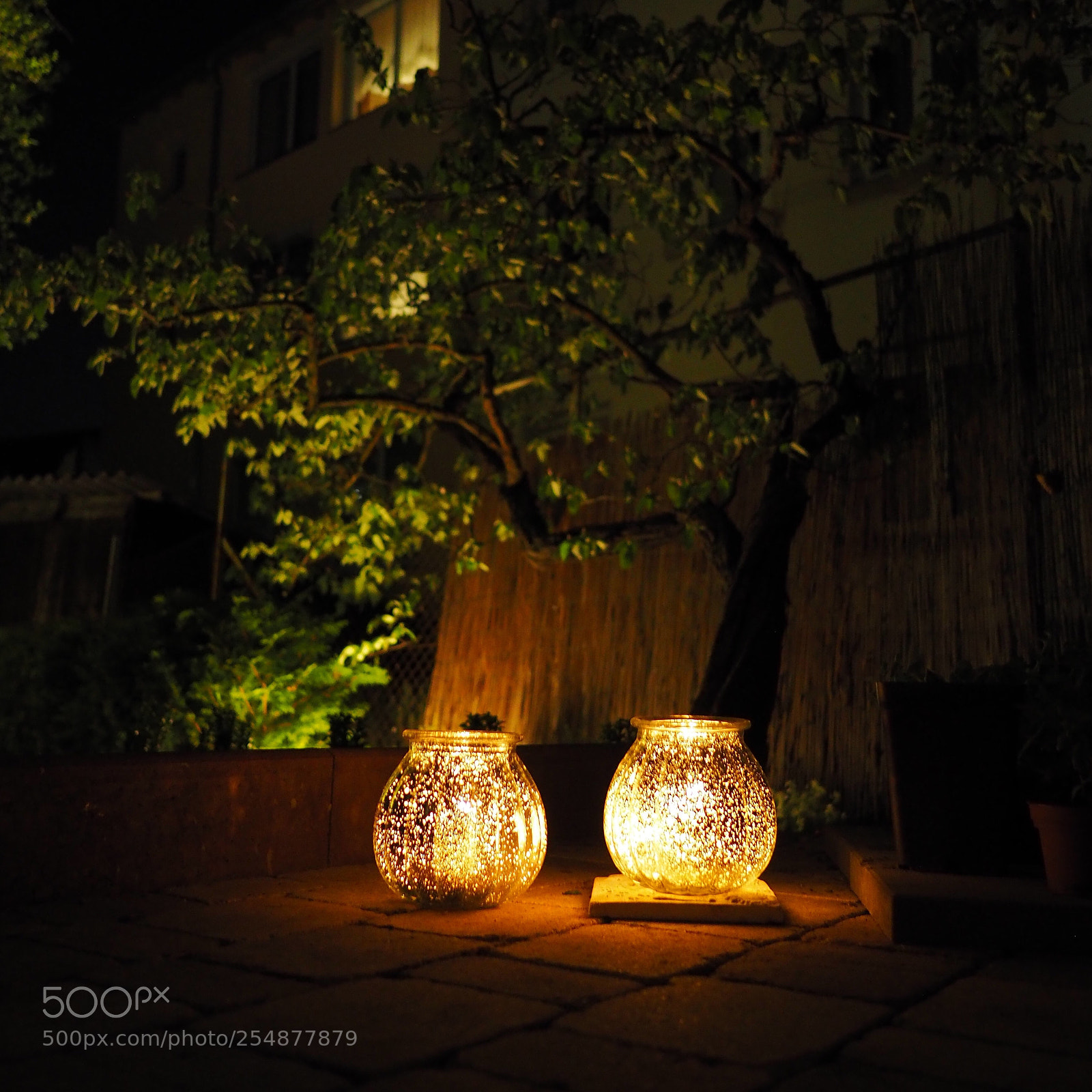 Olympus OM-D E-M1 sample photo. Garden lights photography