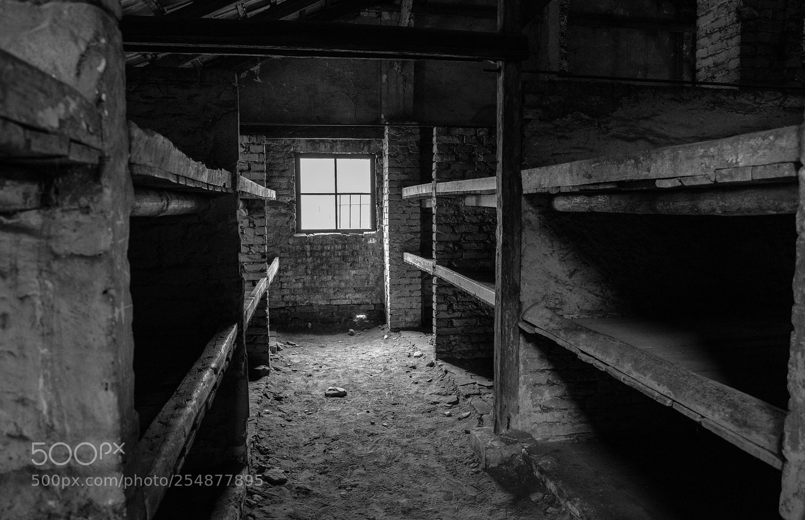 Nikon D800 sample photo. Auschwitz and birkenau photography
