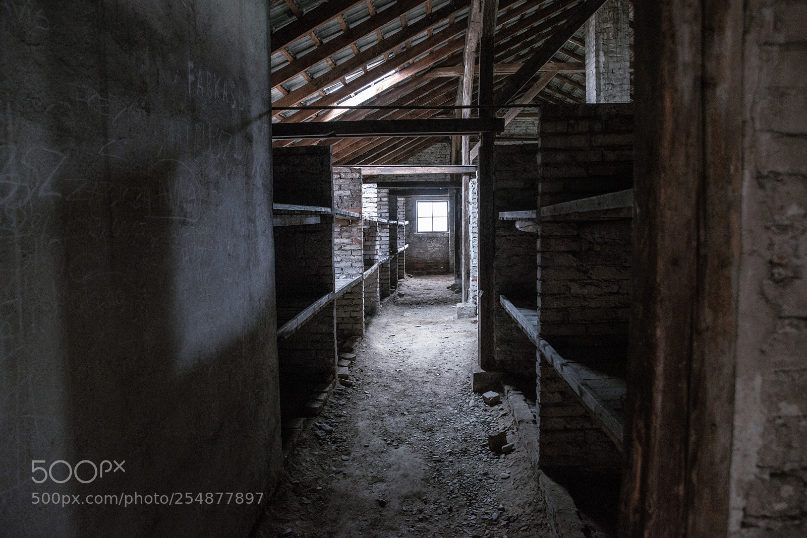 Nikon D800 sample photo. Auschwitz and birkenau photography