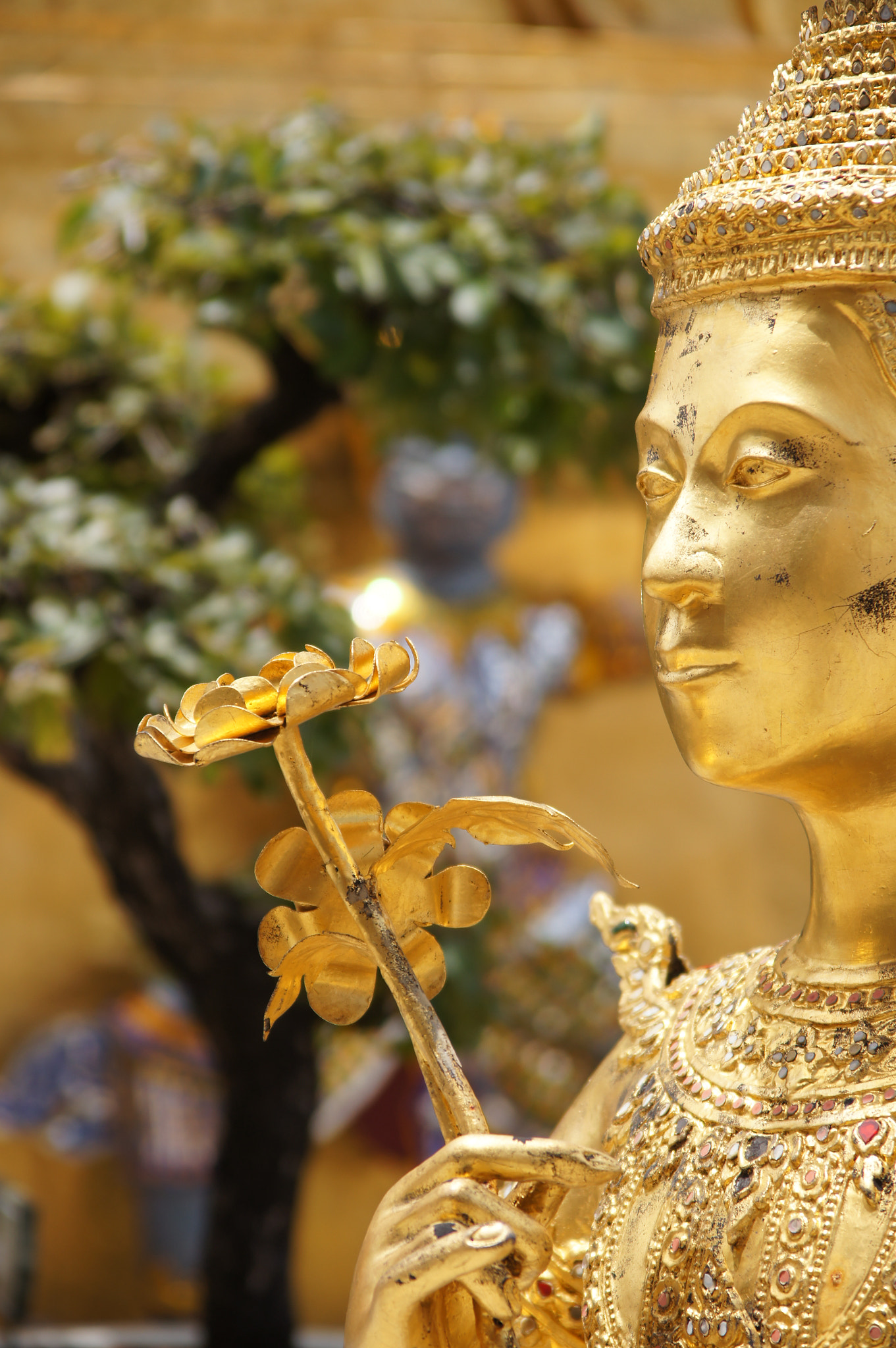 Sony SLT-A55 (SLT-A55V) sample photo. Thai photography