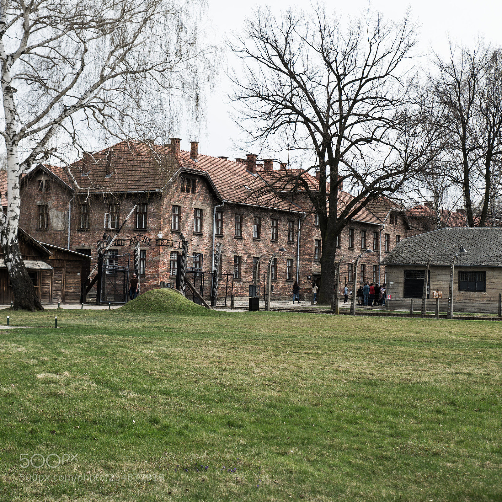 Nikon D800 sample photo. Auschwitz and birkenau photography
