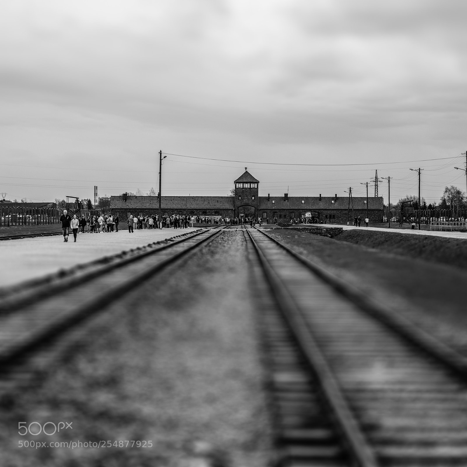 Nikon D800 sample photo. Auschwitz and birkenau photography