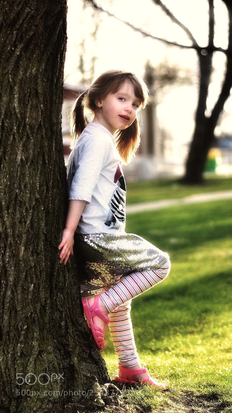 Nikon D5600 sample photo. Untitled photography