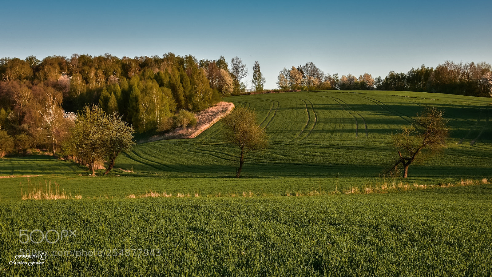 Nikon D7200 sample photo. Wiejskie klimaty photography