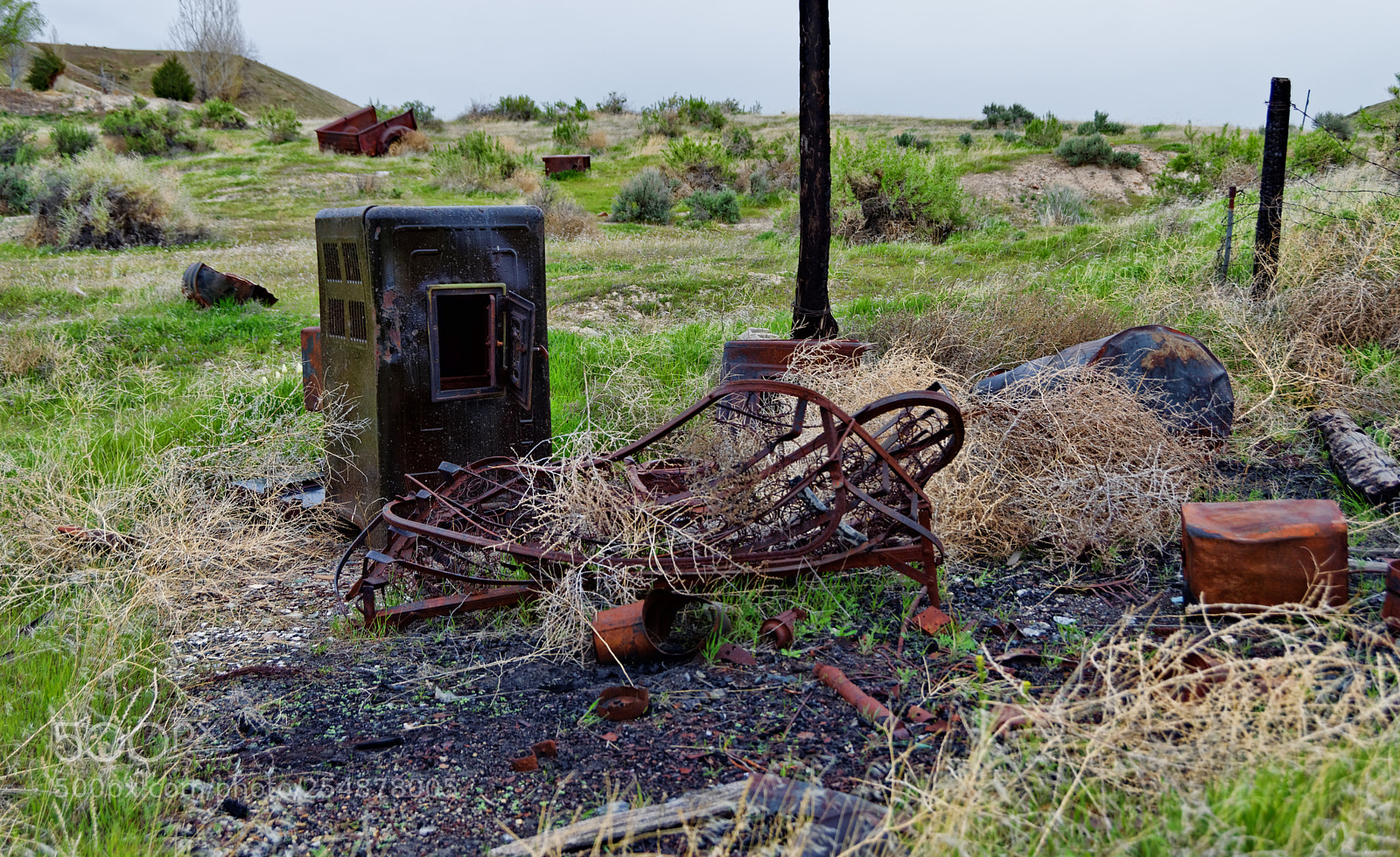 Nikon D5300 sample photo. Burned dreams photography