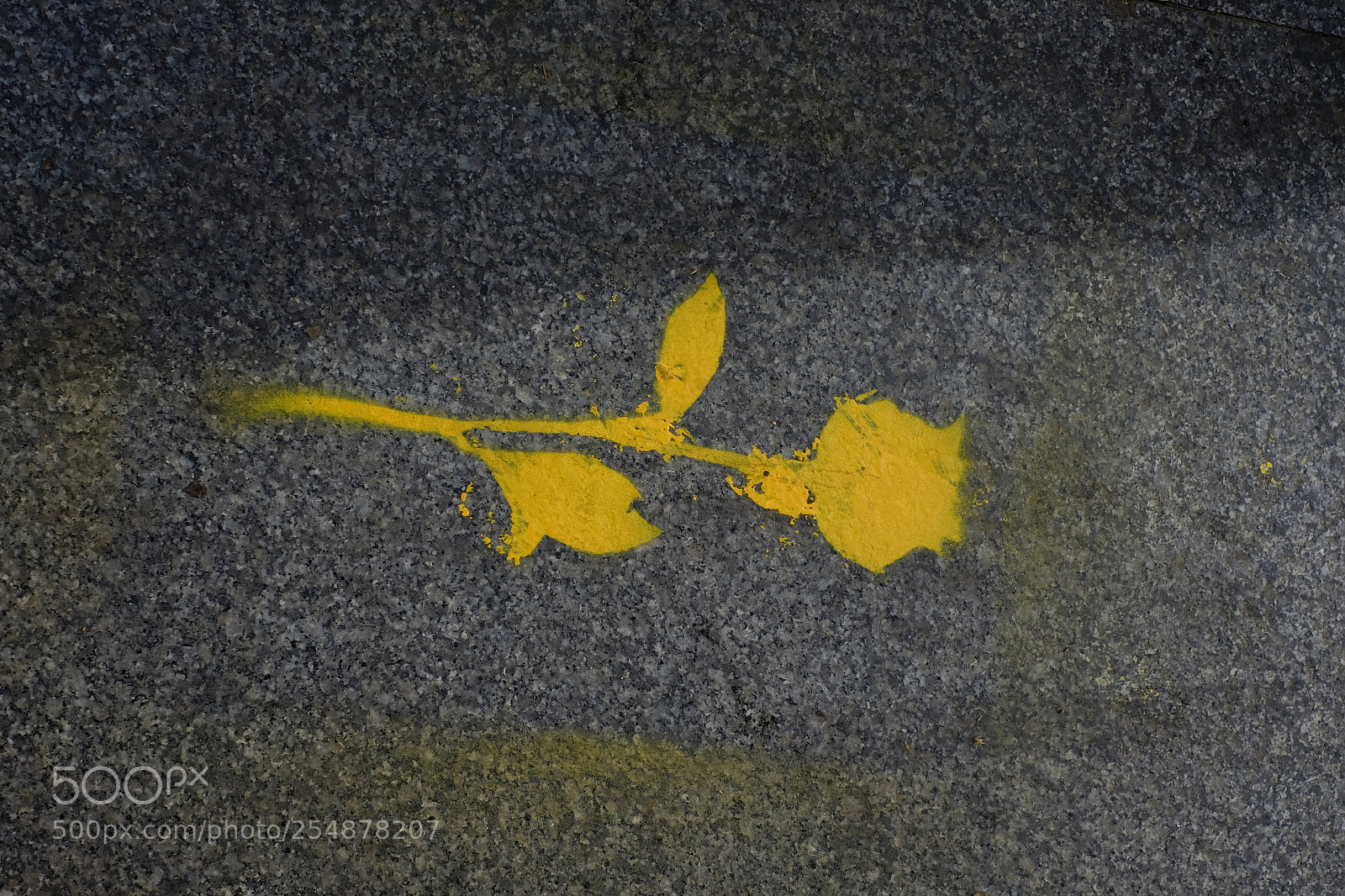 Fujifilm X-T1 sample photo. Roses for freedom photography