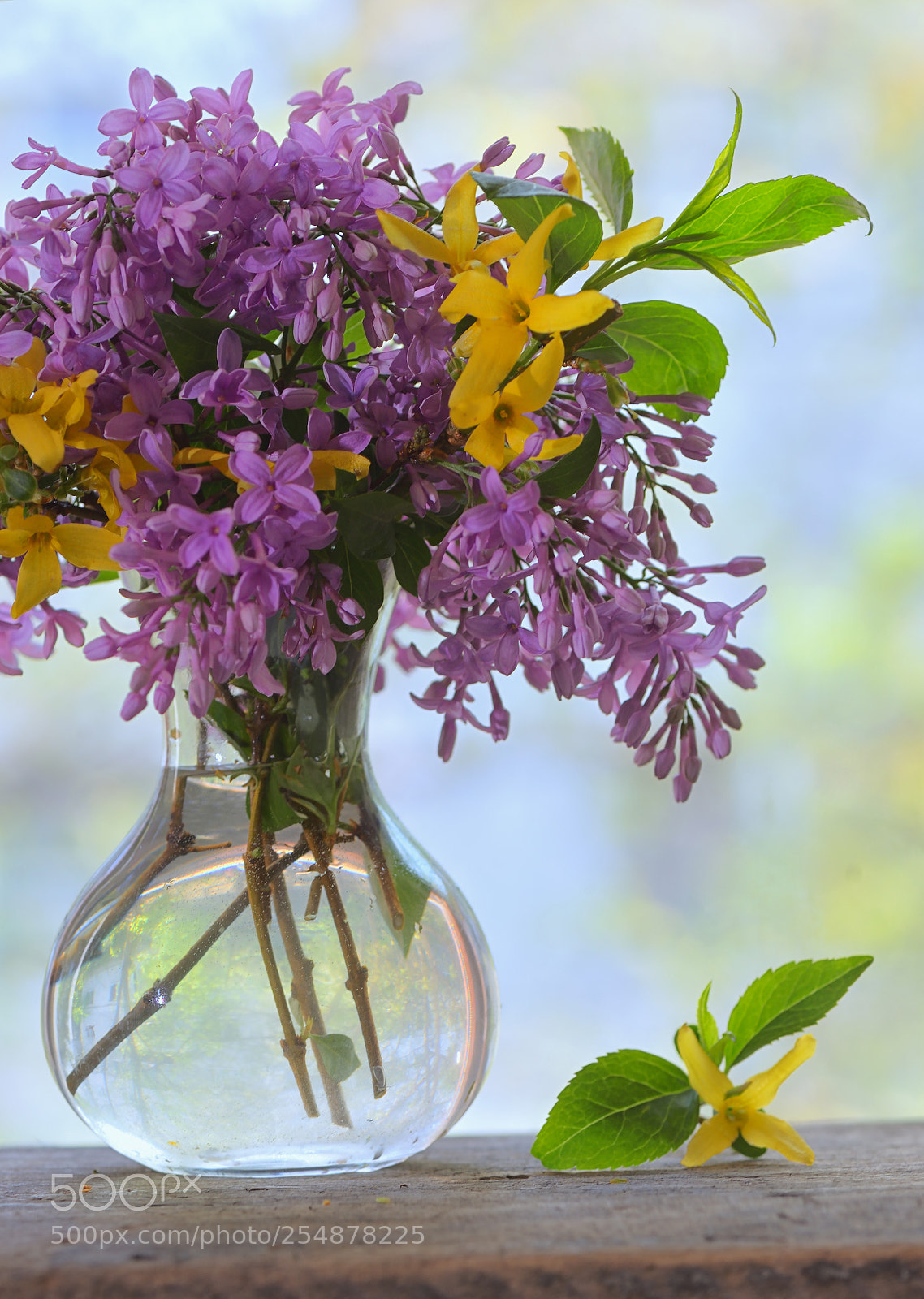 Nikon D610 sample photo. Lilac bouquet on the photography