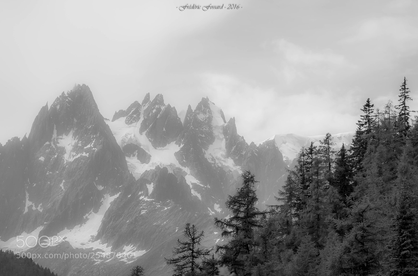 Canon EOS 70D sample photo. Voile de brume sur photography