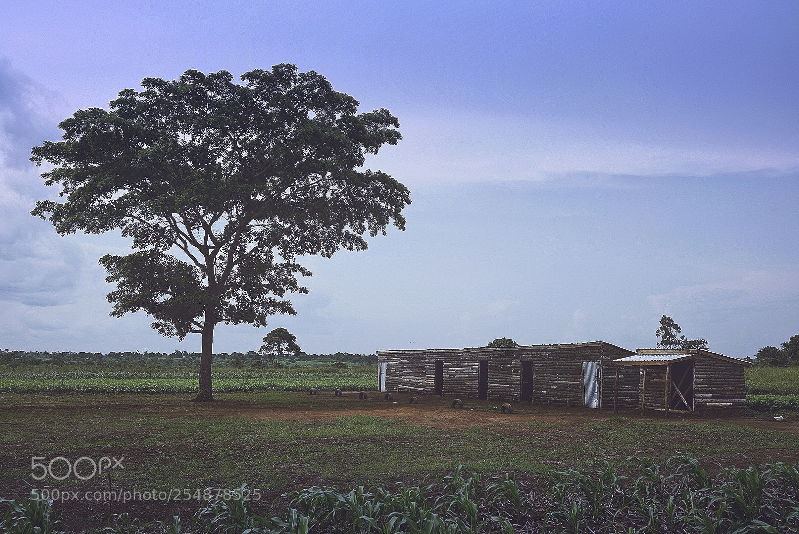 Sony Cyber-shot DSC-RX1R II sample photo. Untitled photography