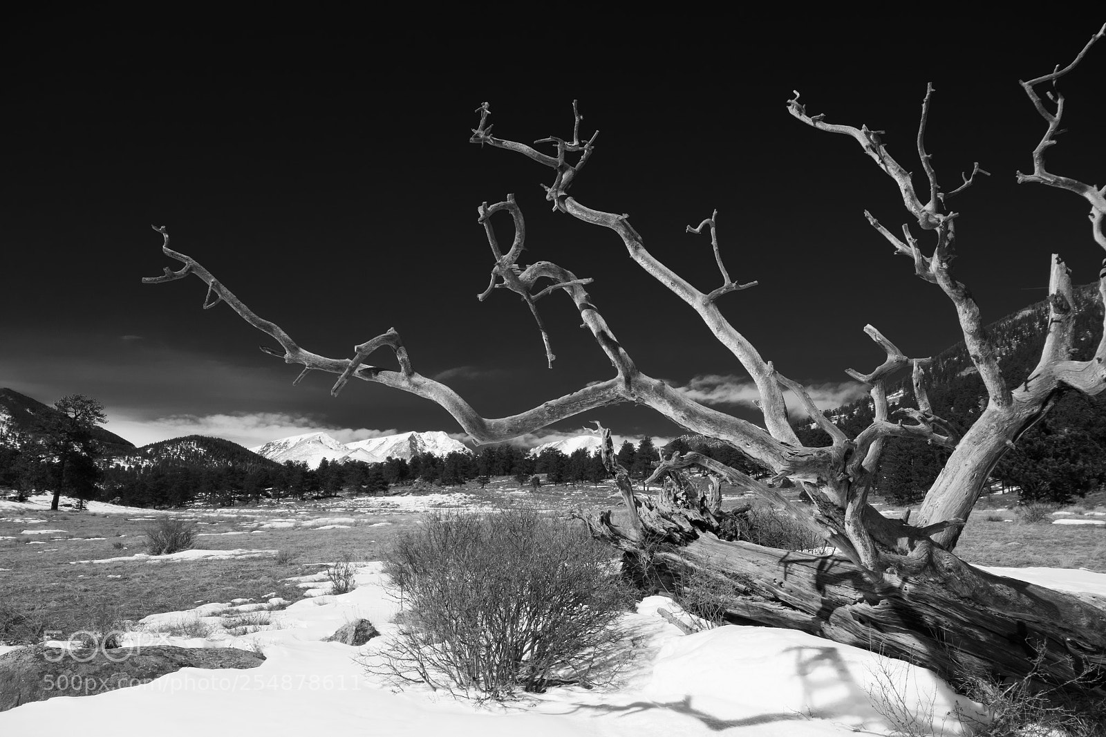 Canon EOS 7D Mark II sample photo. Sky hooks photography
