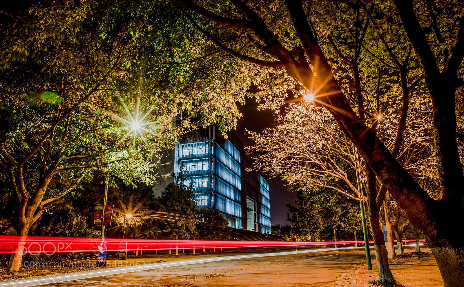 Canon EOS 5D Mark IV sample photo. 校园一角 photography