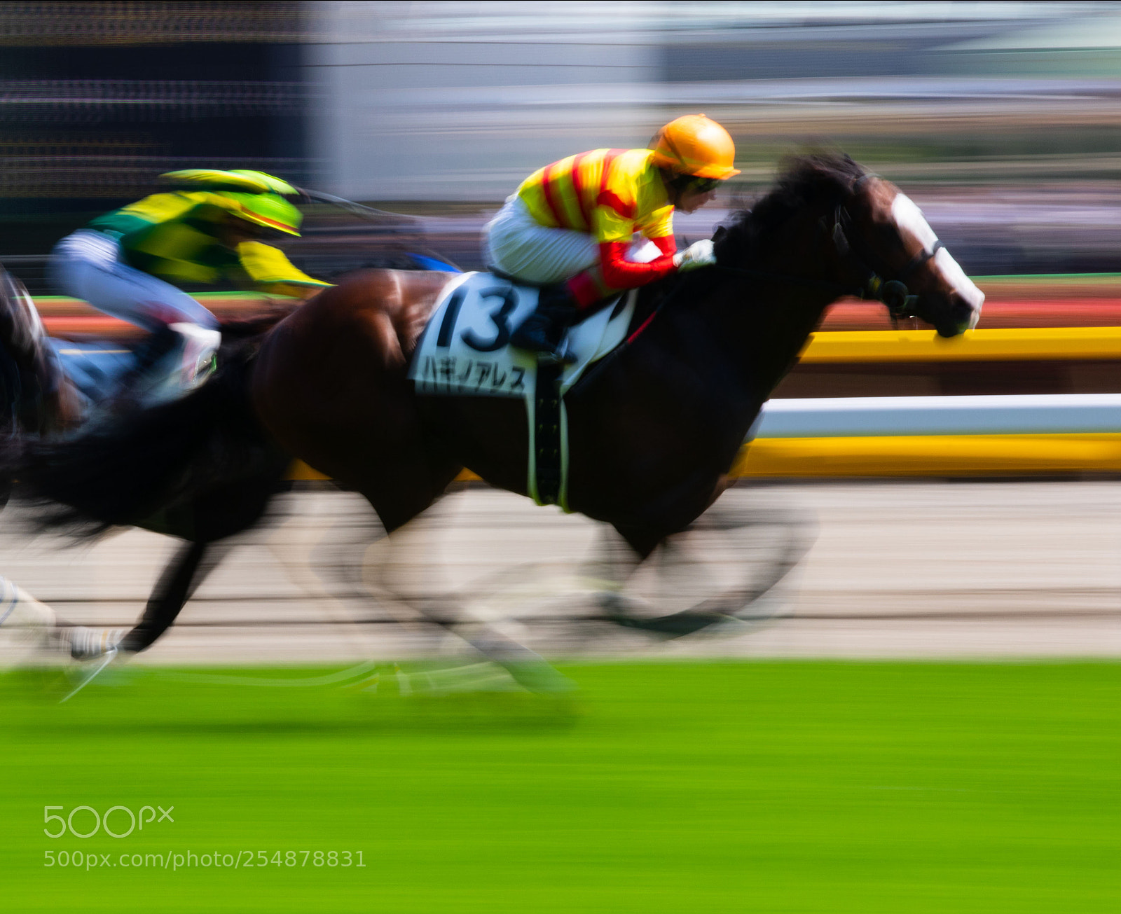 Canon EOS 7D Mark II sample photo. Horse race photography
