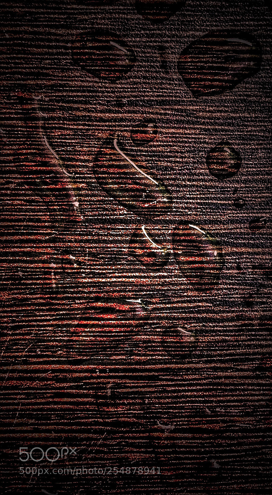Apple iPhone 5s sample photo. Untitled photography
