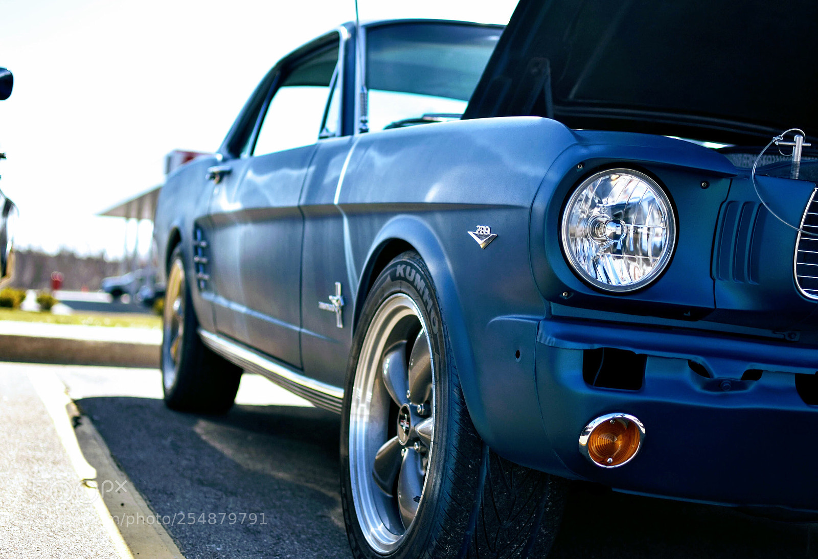 Nikon D3400 sample photo. Mustang photography