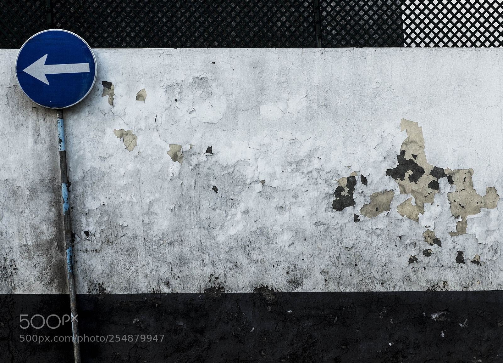 Nikon D810 sample photo. One way photography