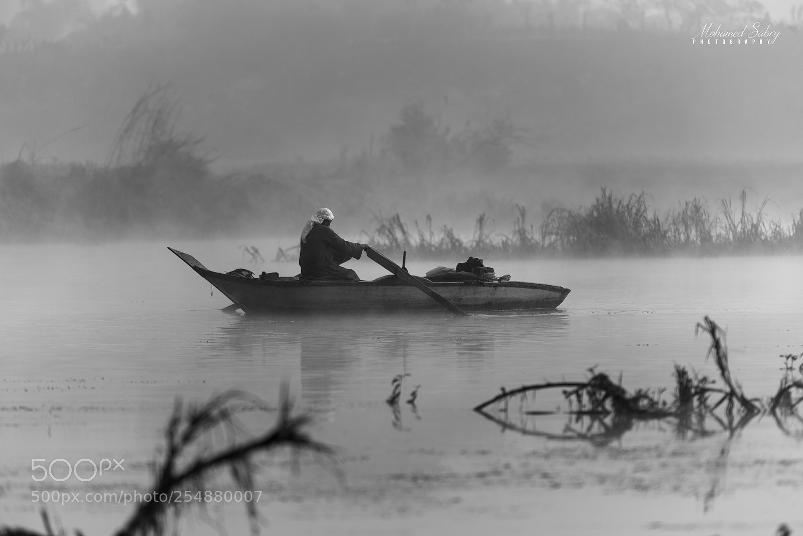 Nikon D810 sample photo. Foggy morning photography
