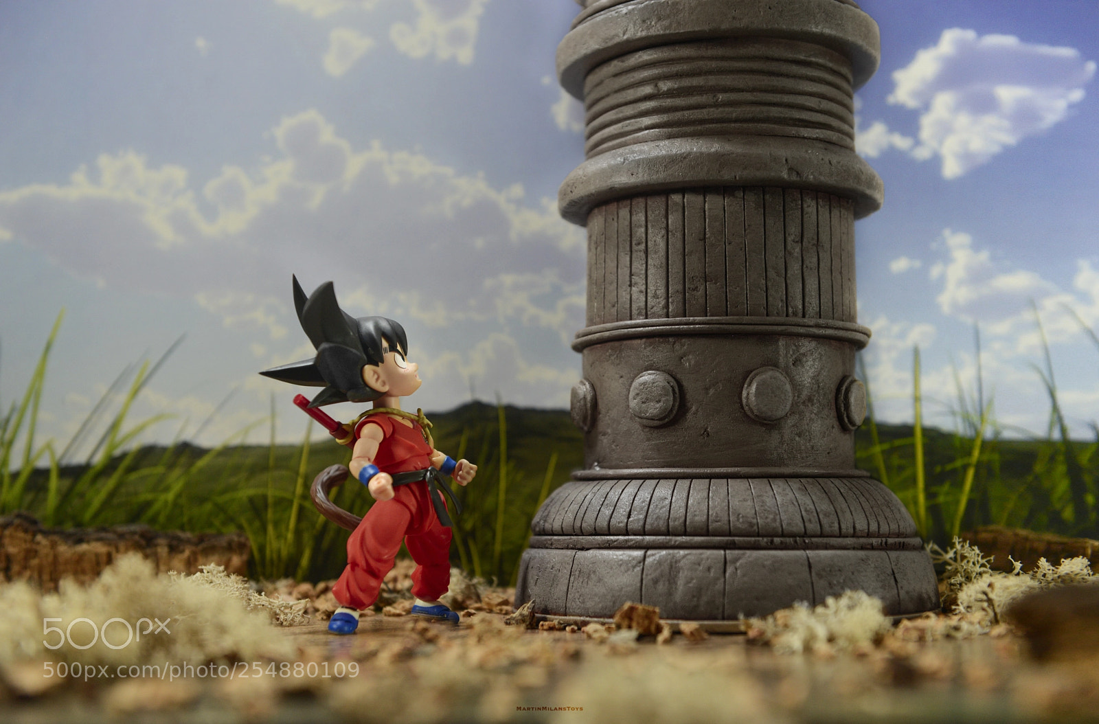 Nikon D600 sample photo. Leap of faith photography