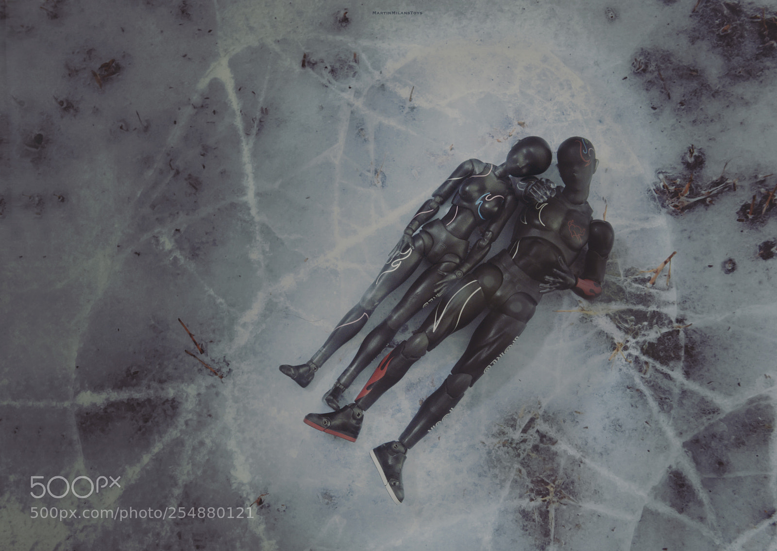 Nikon D600 sample photo. Osidius eternal sunshine of photography