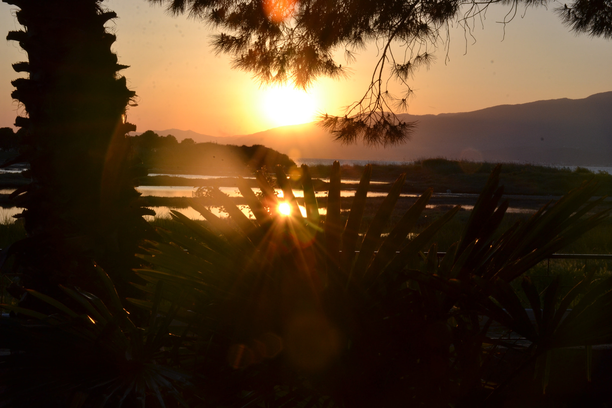 Nikon D3100 sample photo. Sunset-2 photography