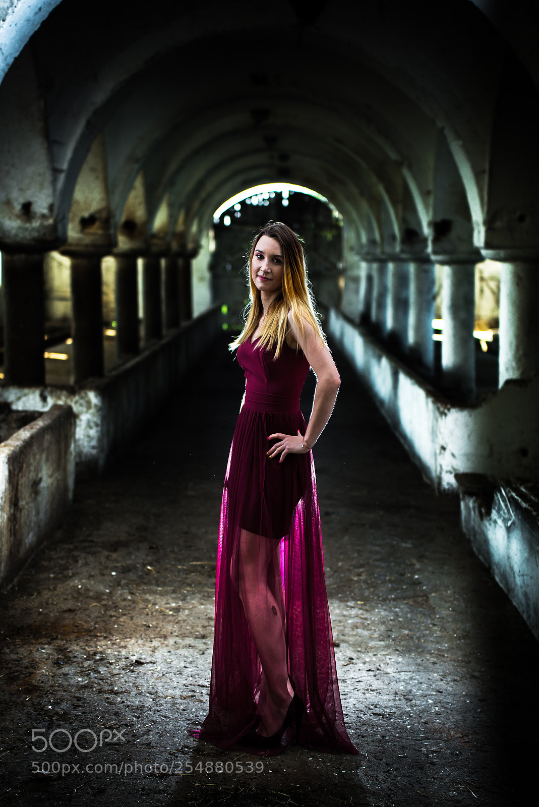 Nikon D610 sample photo. D610 photography