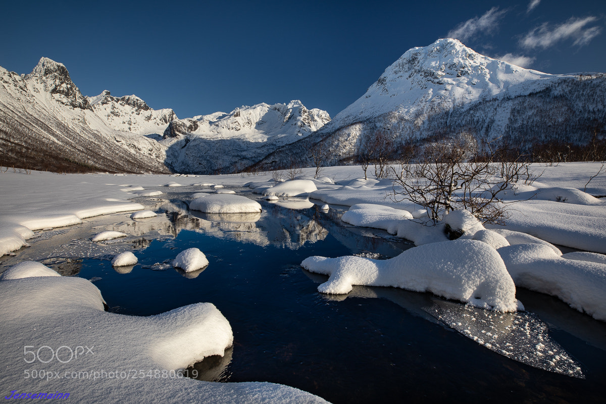 Canon EOS 5D Mark IV sample photo. Snowcapped riverice photography