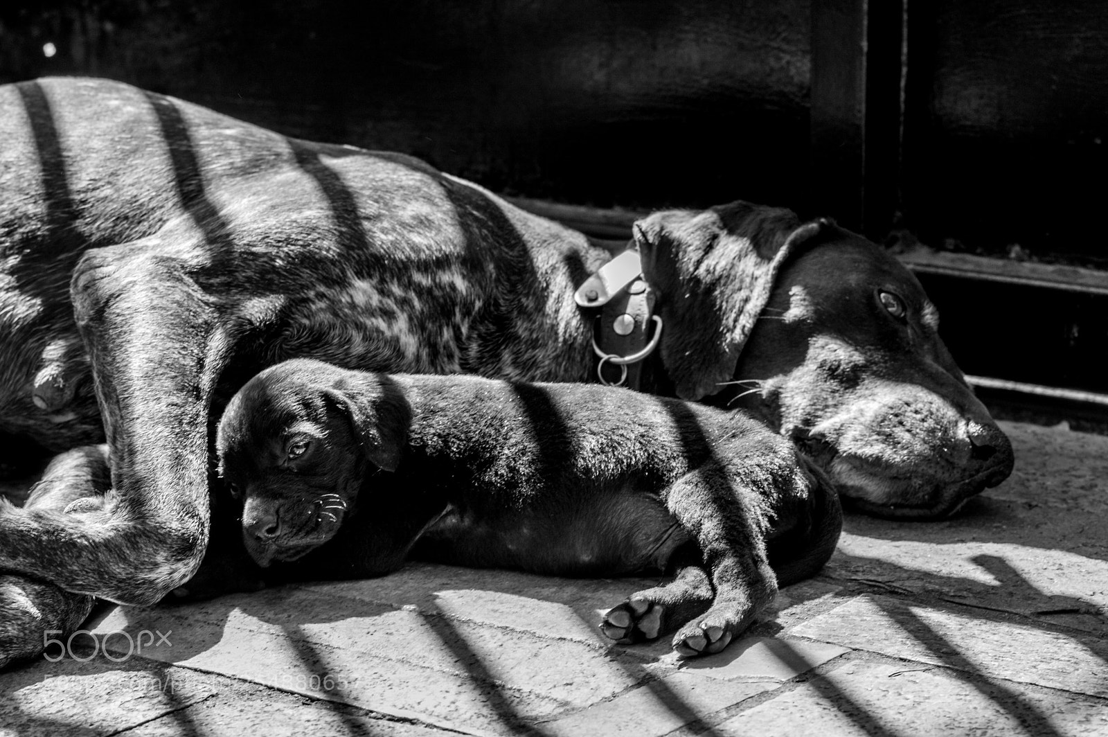Nikon D3200 sample photo. Mother and son photography
