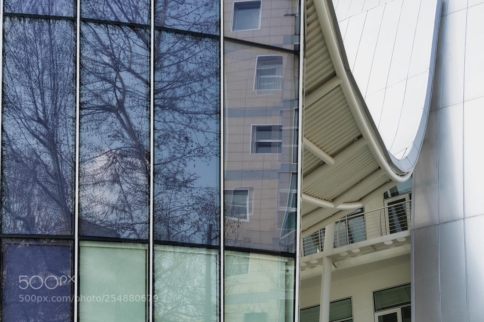 Sony a7R III sample photo. Reflections photography