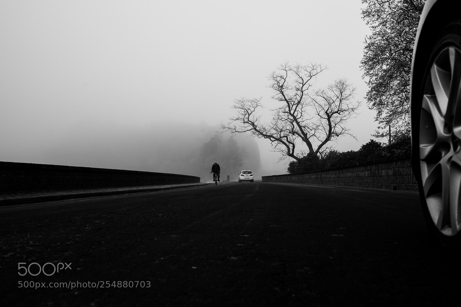 Sony a7R III sample photo. Ride photography